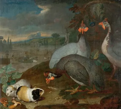 Perlhuhner Mit Meerschweinchen