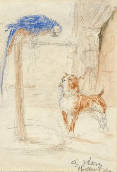 Perroquet Et Chien