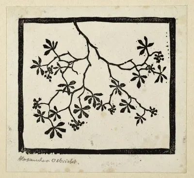 Pflanzen Und Pflanzenornament 14
