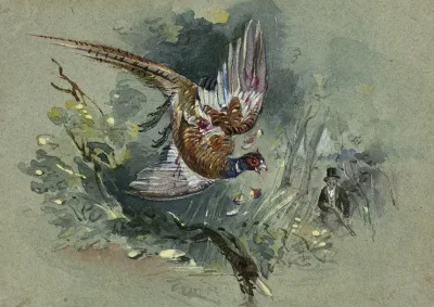 Pheasant And Hunter