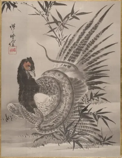 Pheasant Caught By A Snake