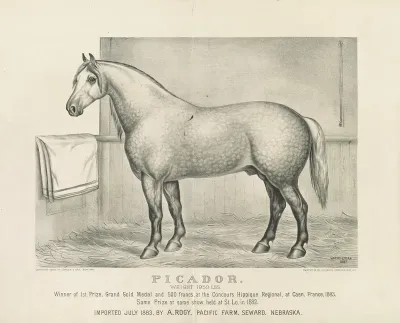 Picador Weight 1950 Lbs