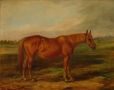 Picayune In A Landscape