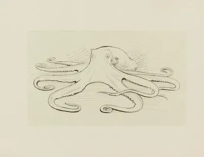 Pieuvre Dessin Pour Le Cul De Lampe Du Chapitre 16 Le Monstre Vaincu