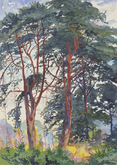Pine Forest 4