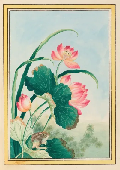 Plantes De Chine Pl 027