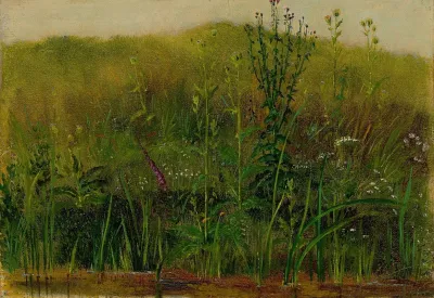 Plants On The Bank