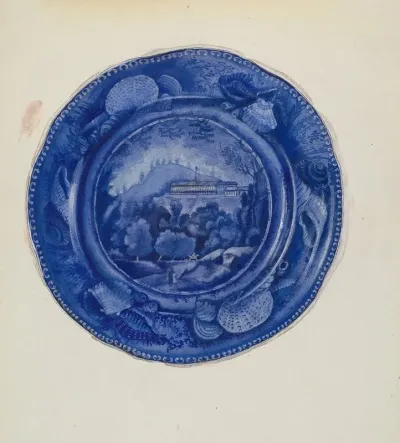 Plate 7