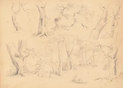Plate Xii