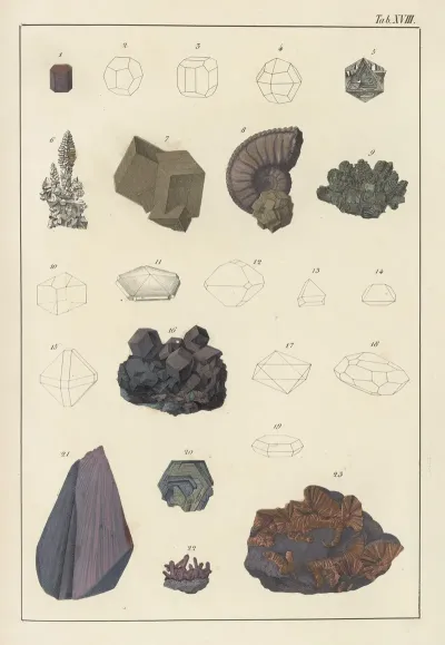 Plate XVIII Pyrites Magnetic Iron Iron Glance Iron Ores