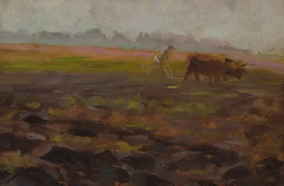 Ploughing Oxen