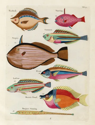 Poissons Ecrevisses Et Crabes De Diverses Couleurs Et Figures Extraordinaires Pl 004