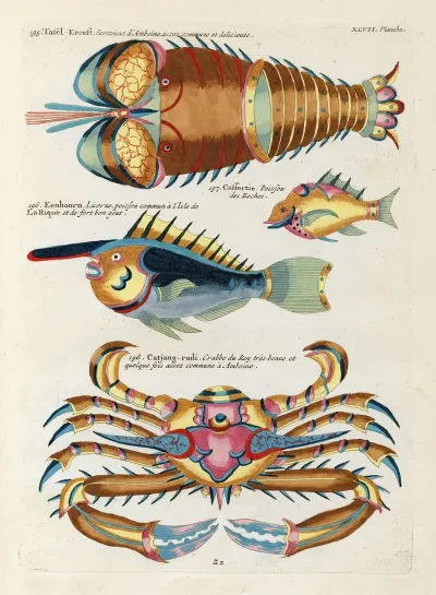 Poissons Ecrevisses Et Crabes De Diverses Couleurs Et Figures Extraordinaires Pl 090