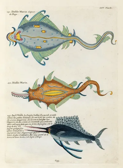 Poissons Ecrevisses Et Crabes De Diverses Couleurs Et Figures Extraordinaires Pl 097