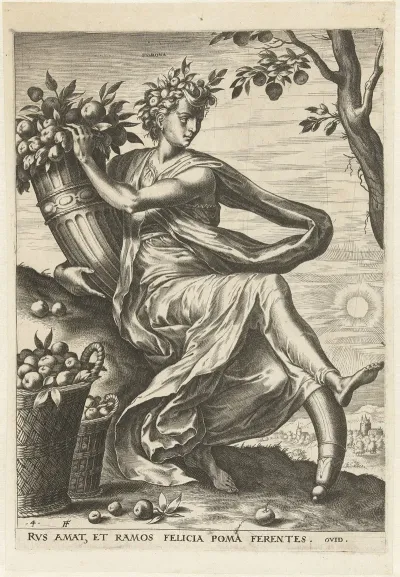 Pomona 8