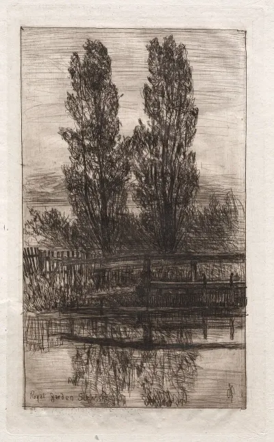 Poplars Royal Garden Schleissheim