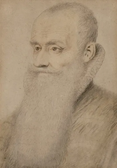Portrait Dhomme Barbu A La Fraise