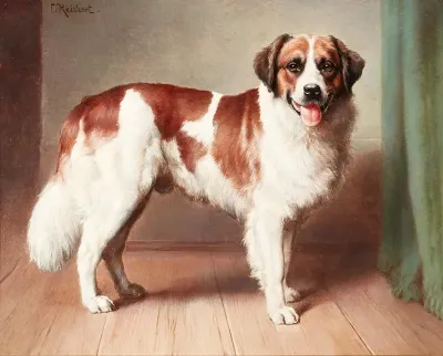 Portrait Of A St Bernard