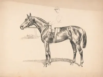 Portrait Of Race Horse And Mounted Jockey 2