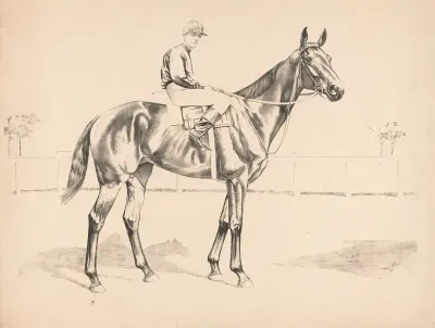 Portrait Of Race Horse And Mounted Jockey