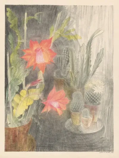 Pots With Cacti And Plants In Bloom