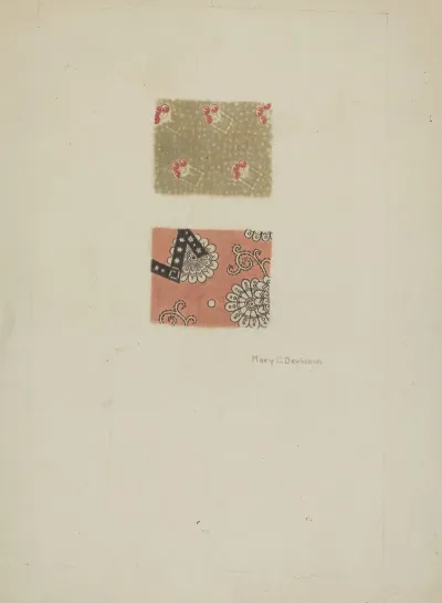 Printed Cotton 24