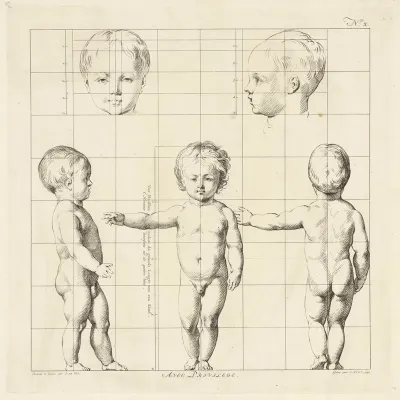 Proportional Study Of A Childs Body