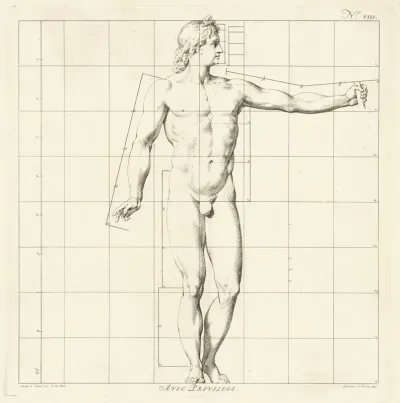 Proportional Study Of The Body Of Apollo Belvedere