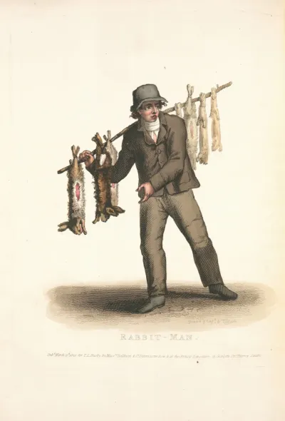Rabbit Man