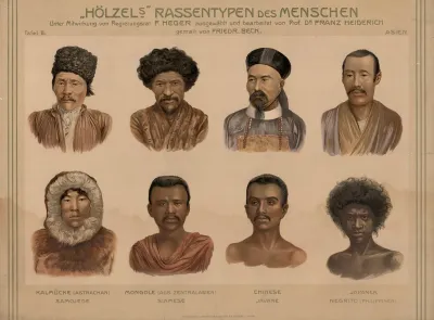 Race Types Ii Asia