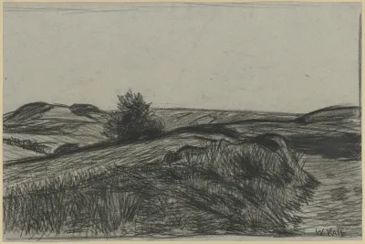Raised Bog