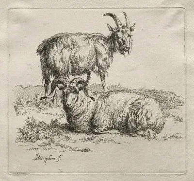 Ram And Goat