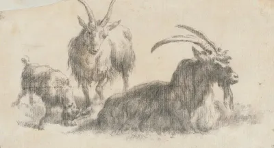 Ram Ewe And Kid
