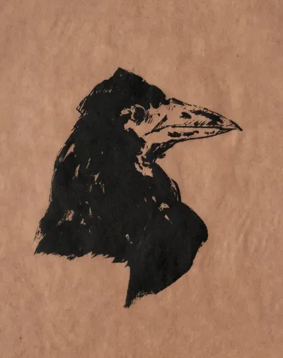 Ravens Head In Profile