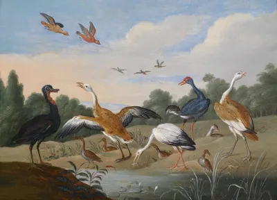 Reiher Und Enten