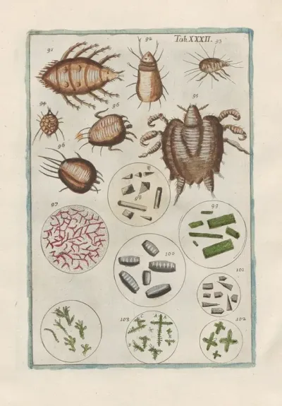 Rerum Naturalium Historia Nempe Quadrupedum Pl 32