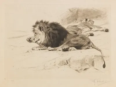 Resting Lions 2
