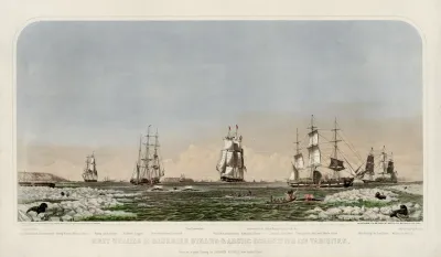 Right Whaling In Behering Straits Arctic Ocean With Its Varieties