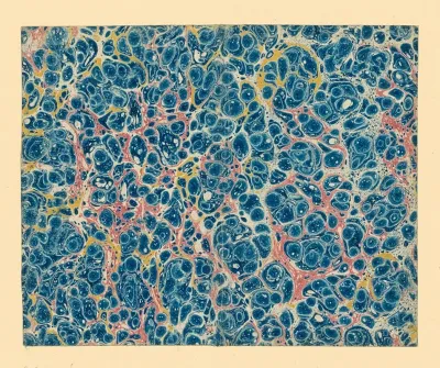 Ringadermarmorpapier 11