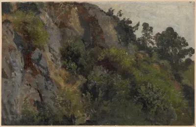 Rocky Slope Overgrown With Plants