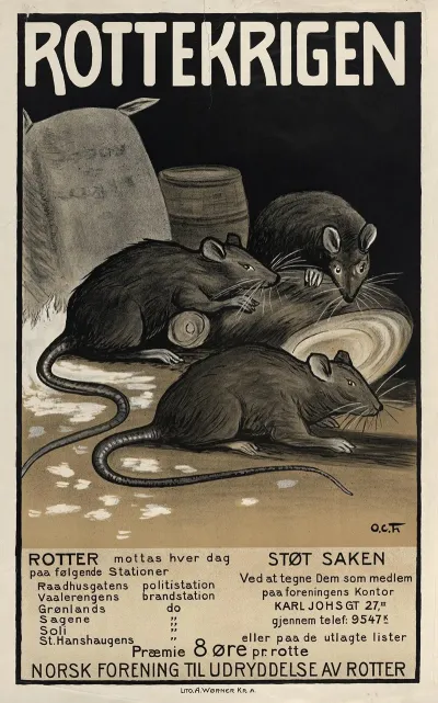 Rottekrigen