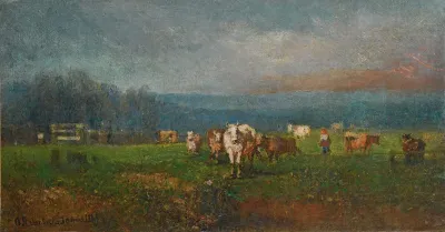 Rural Landscape