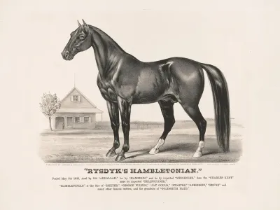 Rysdyks Hambletonian