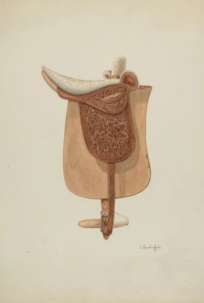 Saddle 6