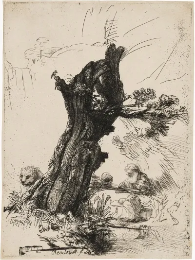 Saint Jerome Beside A Pollard Willow