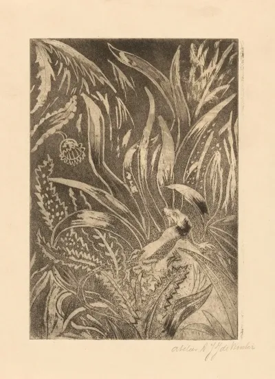 Salamander 2