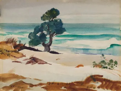 Sand Dunes