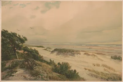 Sand Hills Of New Jersey