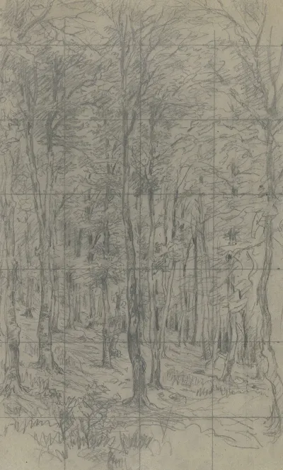 Saplings On A Slope