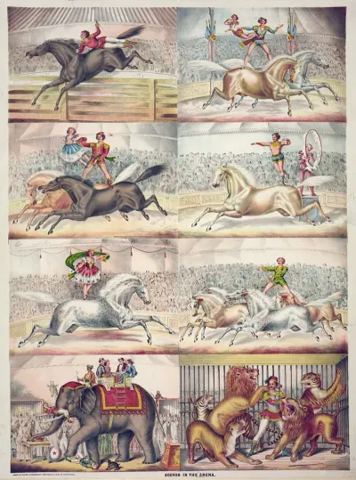 Scenes In The Arena 2